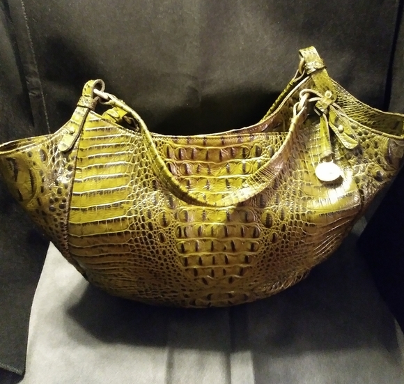 Brahmin - Picture 3 of 4